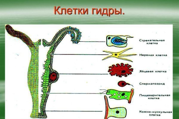 Как зарегистрироваться в кракен в россии