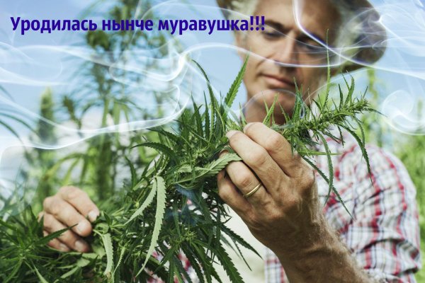 Ошибка на кракене