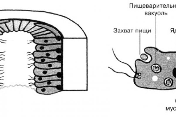 Кракен аккаунт не найден