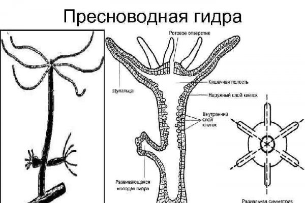 Что за маркетплейс кракен