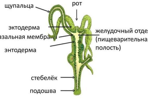 2krn сс